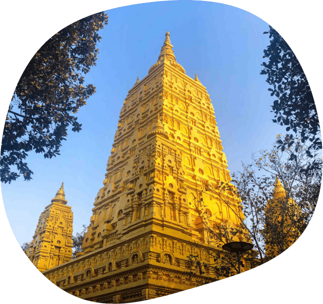 The ornate golden temple near The Better Life Place Rehab in Thailand.