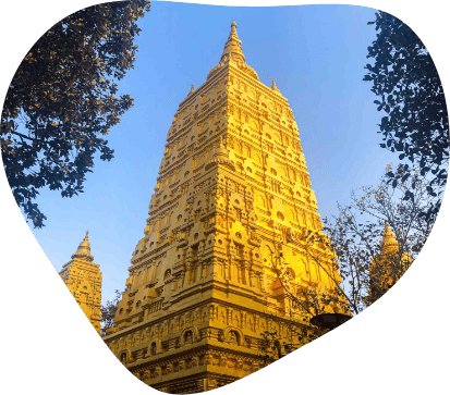 Ornate golden temple near The Better Life Place Rehab in Thailand.