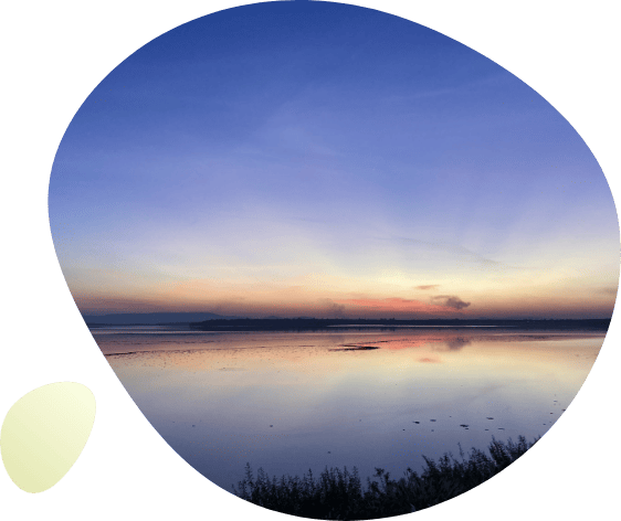Photograph of a beautiful lake near The Better Life Place Rehab in Thailand.