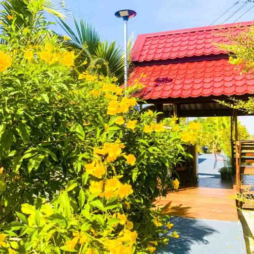Hidden and lush garden at The Better Life Place Rehab in Thailand.