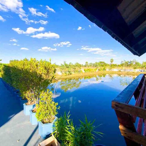 Fish pond at The Better Life Place Rehab in Thailand.