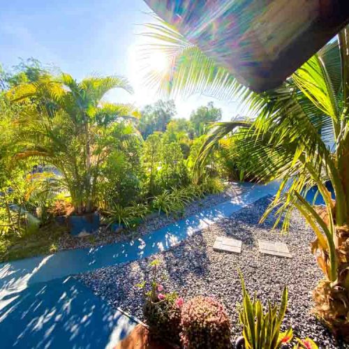 The lush garden at The Better Life Place Rehab in Thailand.