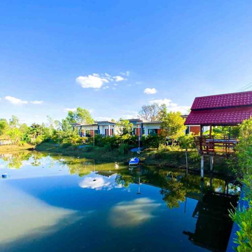 Calm fish pond at The Better Life Place Rehab in Thailand.